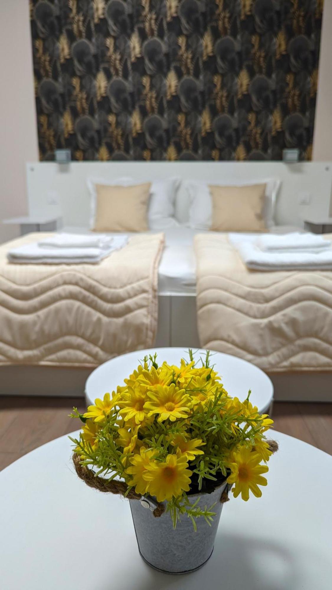 Apartmani Tomic Kladovo Exteriör bild